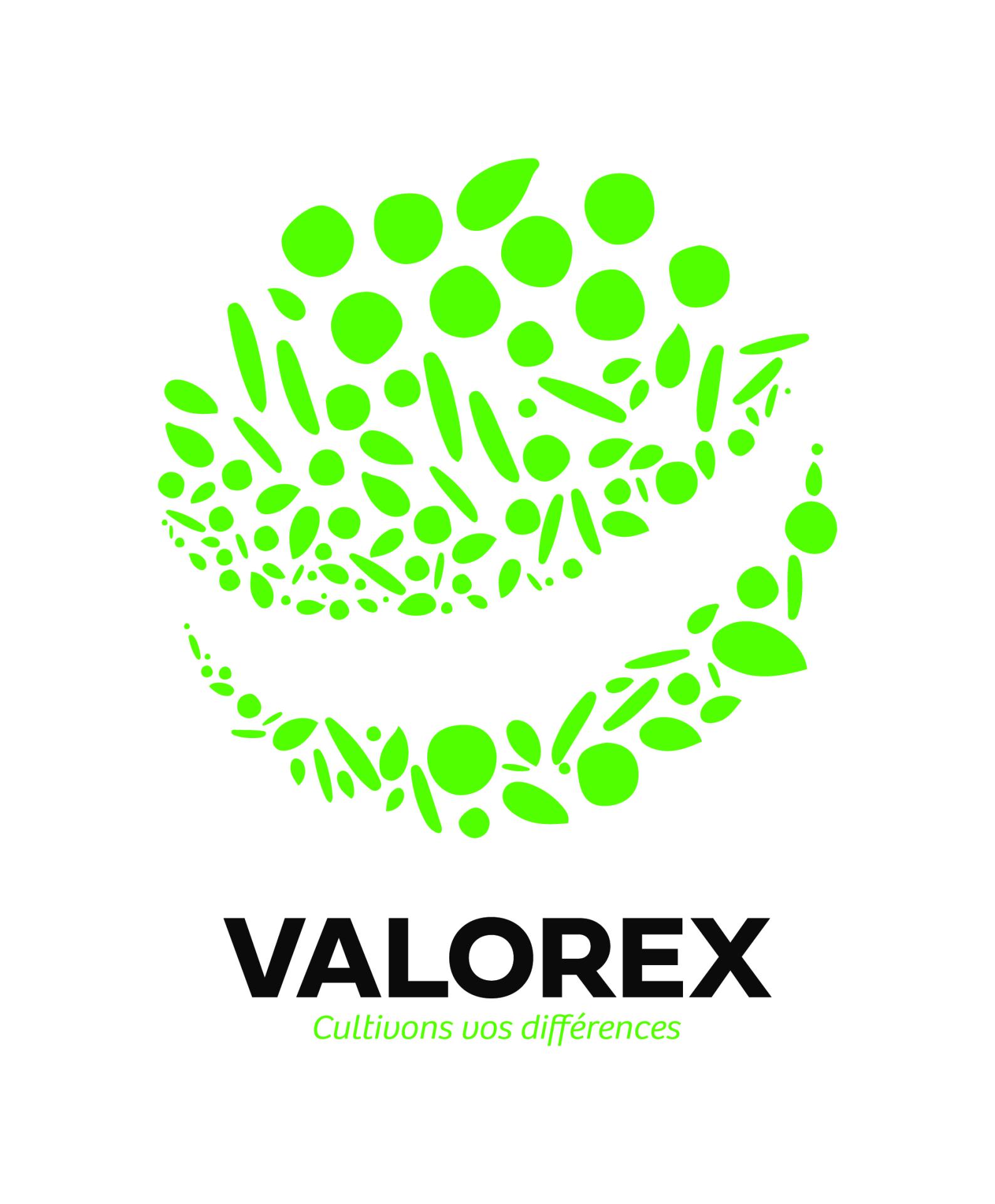 Valorex